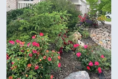 2054 E 167th Way, Thornton, CO 80602 - Photo 38