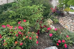 2054 E 167th Way, Thornton, CO 80602 - Photo 38