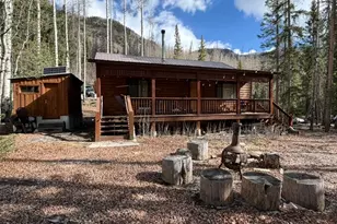 25981 County Road 162 E, Nathrop, CO 81236 - Photo 6