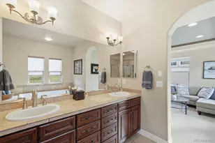 10523 Rivington Ct, Lone Tree, CO 80124 - Photo 20