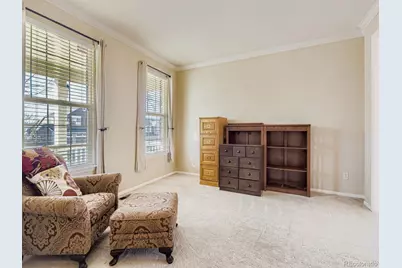 10036 Brisbane Lane, Highlands Ranch, CO 80130 - Photo 4