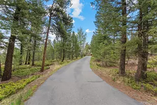 34031 Meadow Mountain Rd, Evergreen, CO 80439 - Photo 44