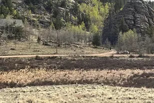 1441 Longbow Dr, Como, CO 80432 - Photo 1