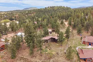 92 Prospectors Way, Bailey, CO 80421 - Photo 28