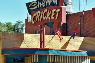 245 Gaylord St, Denver, CO 80206 - Photo 38