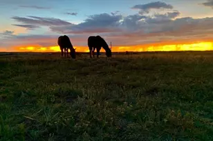 4190 Co Rd 154, Elizabeth, CO 80107 - Photo 46