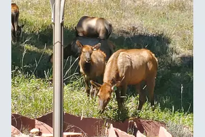 20883 Sky Meadow Lane, Golden, CO 80401 - Photo 38