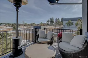 3313 Bark Tree Trl, Colorado Springs, CO 80921 - Photo 42