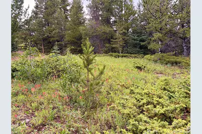 1 Apex, Black Hawk, CO 80422 - Photo 34