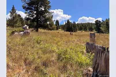 1 Apex, Black Hawk, CO 80422 - Photo 20