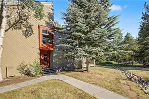100 Wild Irishman Rd, Dillon, CO 80435 - Photo 6