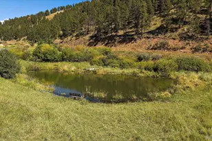 11842 Geronimo Trail, Conifer, CO 80433 - Photo 44