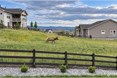 5345 Edenborn Way, Castle Rock, CO 80104 - Photo 36