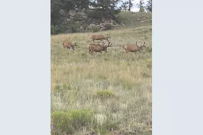 [Address not provided], Jefferson, CO  - Photo 2