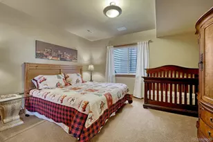 7758 Weaver Cir, Castle Rock, CO 80104 - Photo 20