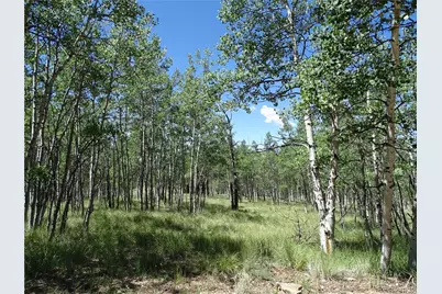 782 Bowstring Road, Como, CO 80432 - Photo 1