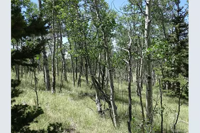 782 Bowstring Road, Como, CO 80432 - Photo 14
