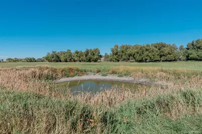 7715 S State Highway 83, Franktown, CO 80116 - Photo 8