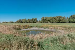 7715 S State Hwy 83, Franktown, CO 80116 - Photo 8