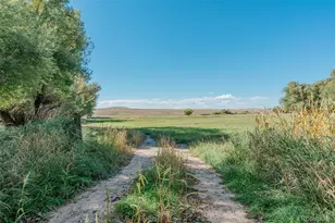 7715 S State Hwy 83, Franktown, CO 80116 - Photo 10