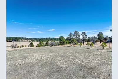 2568 Fox View Trail, Franktown, CO 80116 - Photo 16