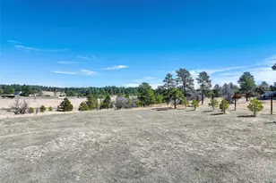 2568 Fox Vw Trl, Franktown, CO 80116 - Photo 16