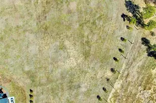 2568 Fox Vw Trl, Franktown, CO 80116 - Photo 6