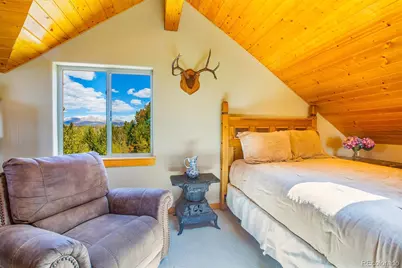 2649 Coil Drive, Fairplay, CO 80440 - Photo 28