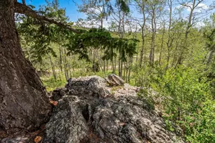 682 Alps Hill Rd, Central City, CO 80427 - Photo 44