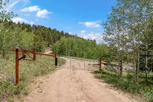 682 Alps Hill Rd, Central City, CO 80427 - Photo 42