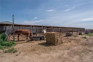 9368 Co Rd 41, Fort Lupton, CO 80621 - Photo 38