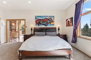 300 Buckeye Crk Rd, Leadville, CO 80461 - Photo 46