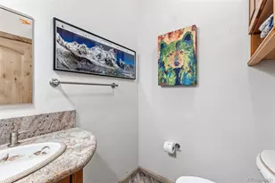 300 Buckeye Crk Rd, Leadville, CO 80461 - Photo 12