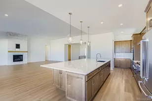 462 Agoseris Wy, Castle Rock, CO 80104 - Photo 12