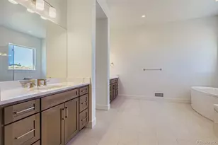 462 Agoseris Wy, Castle Rock, CO 80104 - Photo 18