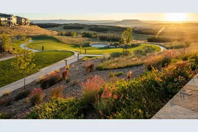 462 Agoseris Way, Castle Rock, CO 80104 - Photo 46