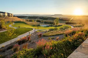 462 Agoseris Wy, Castle Rock, CO 80104 - Photo 46