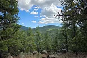 222 Blue Spruce Rd, Divide, CO 80814 - Photo 1