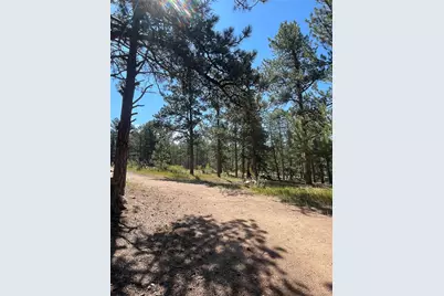 3943 Co Rd 403, Lake George, CO 80827 - Photo 30