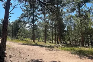 3943 Co Rd 403, Lake George, CO 80827 - Photo 30