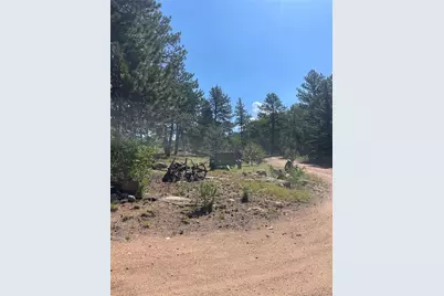 3943 Co Rd 403, Lake George, CO 80827 - Photo 34