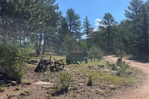 3943 Co Rd 403, Lake George, CO 80827 - Photo 34