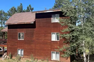 3943 Co Rd 403, Lake George, CO 80827 - Photo 4