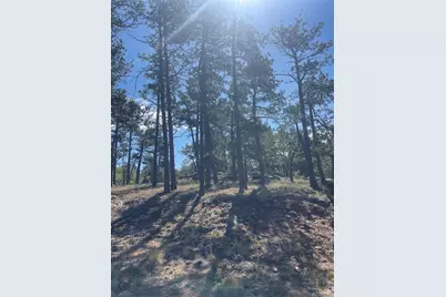 3943 Co Rd 403, Lake George, CO 80827 - Photo 28