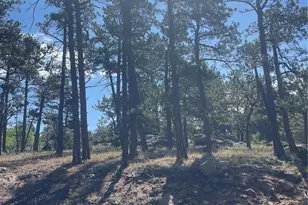 3943 Co Rd 403, Lake George, CO 80827 - Photo 28