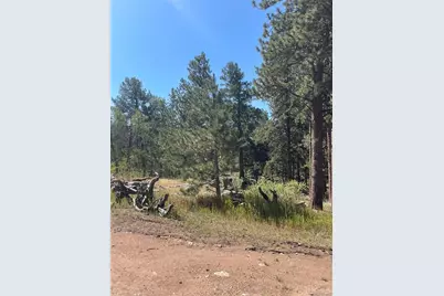 3943 Co Rd 403, Lake George, CO 80827 - Photo 36