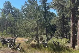 3943 Co Rd 403, Lake George, CO 80827 - Photo 36
