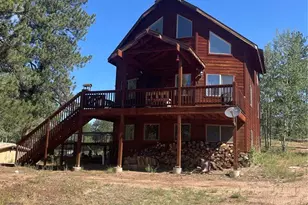 3943 Co Rd 403, Lake George, CO 80827 - Photo 1