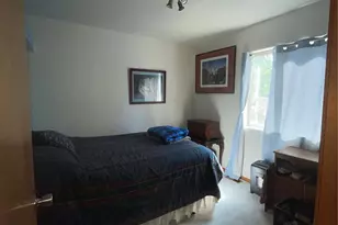3943 Co Rd 403, Lake George, CO 80827 - Photo 14