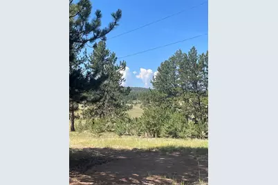 3943 Co Rd 403, Lake George, CO 80827 - Photo 32